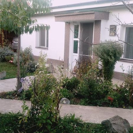Otopeni Therme Airport Apartment Ngoại thất bức ảnh