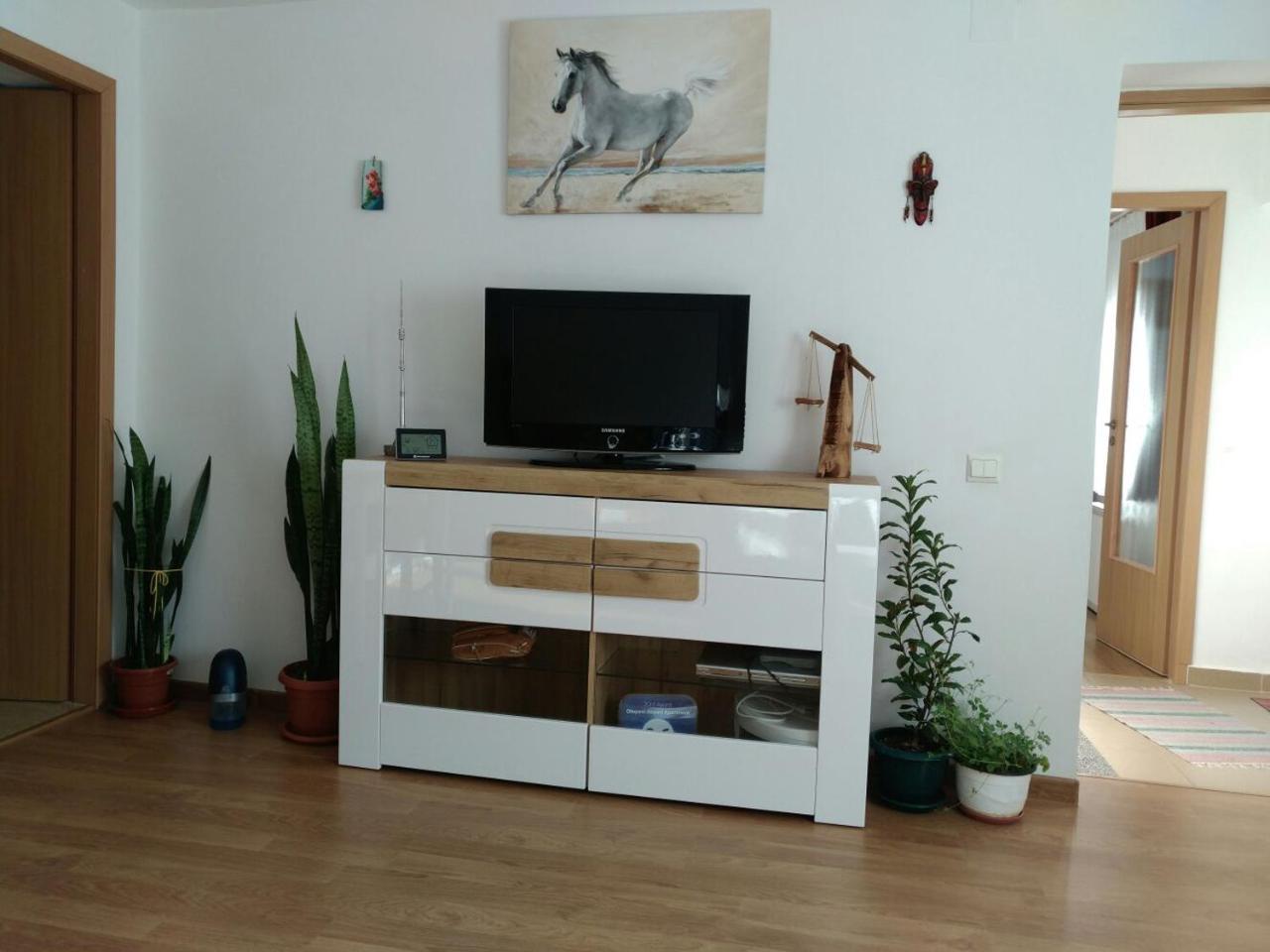 Otopeni Therme Airport Apartment Ngoại thất bức ảnh